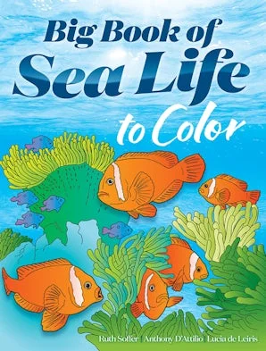 Big Book of Sea Life to Color
